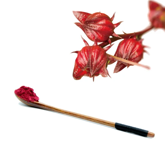 Poudre d'extrait de plante de fleur d'Hibiscus Roselle biologique naturelle séchée